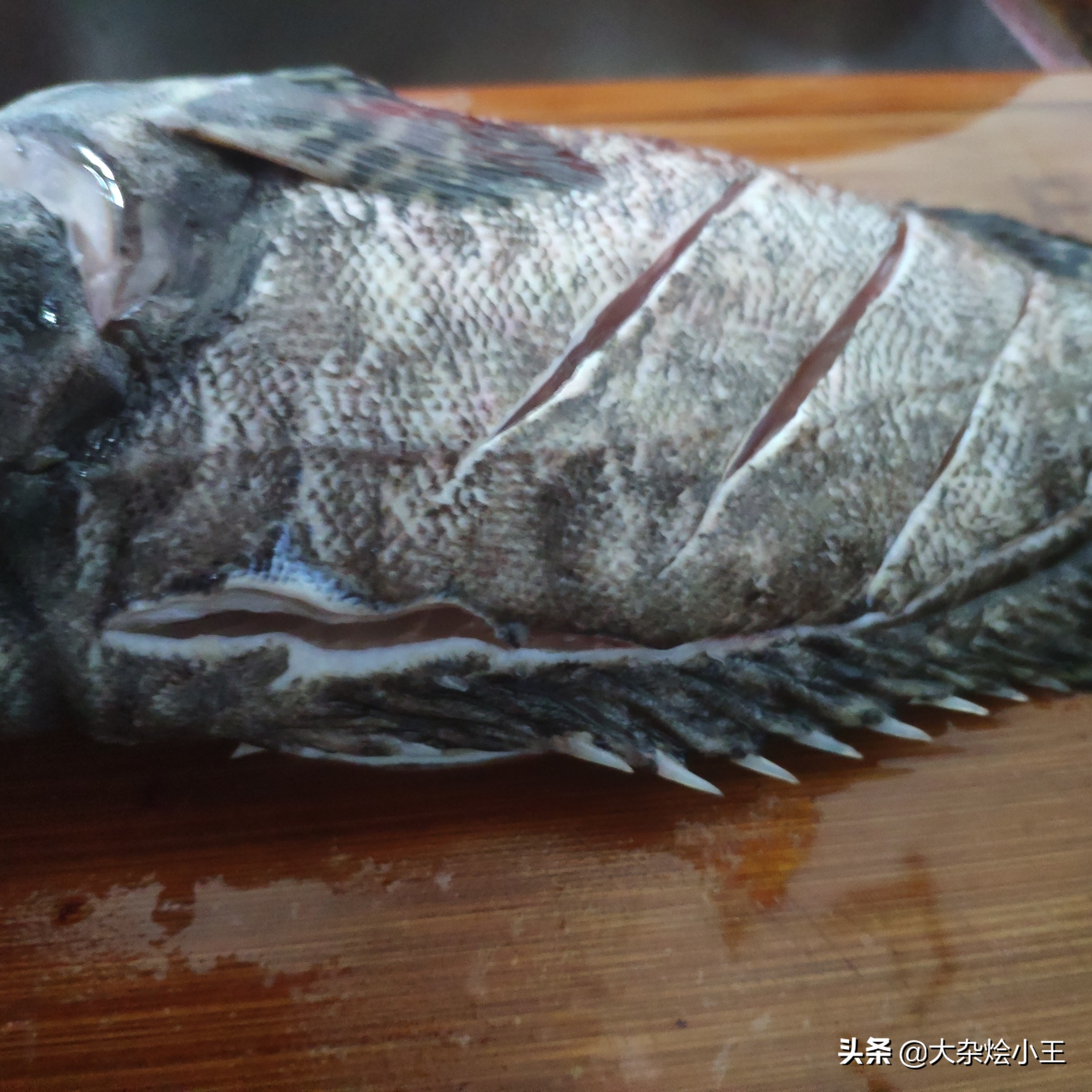 石斑鱼清蒸出来又老又柴,石斑鱼最好多大适合清蒸