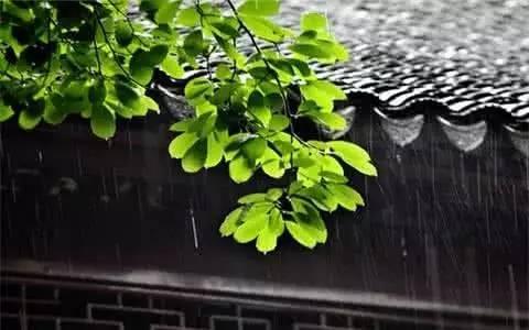 古诗描述芒种的句子,关于芒种的诗句合集