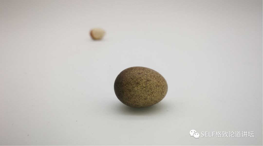 科学家如何观察植物,鸟类的研究方法