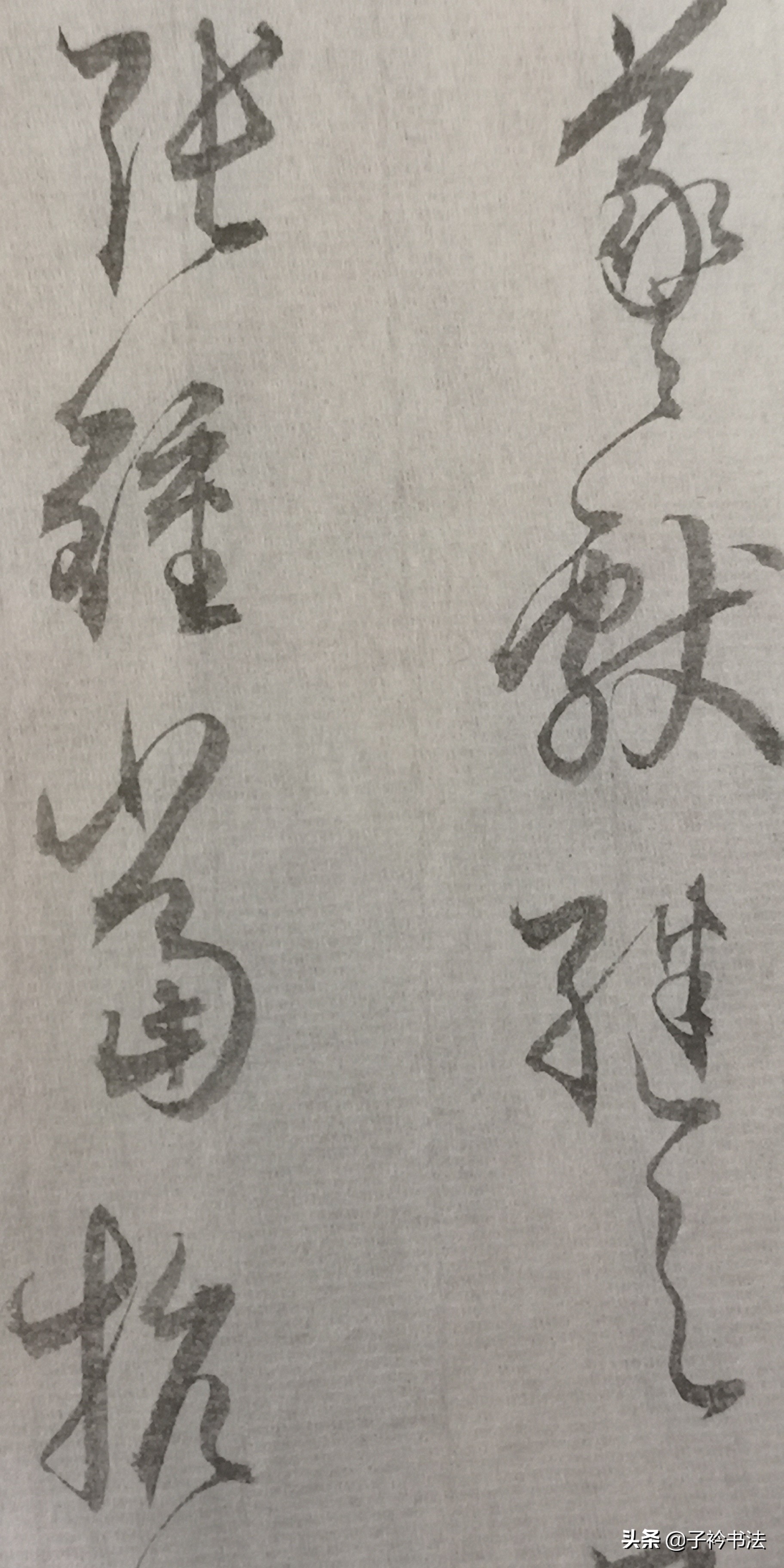 文质彬彬然后君子，为新专栏备课