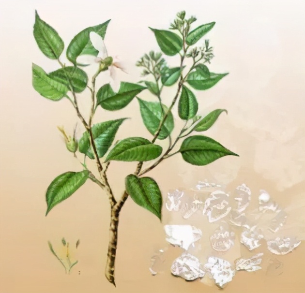 中国香道制香有几种类型,香道制香方法图解