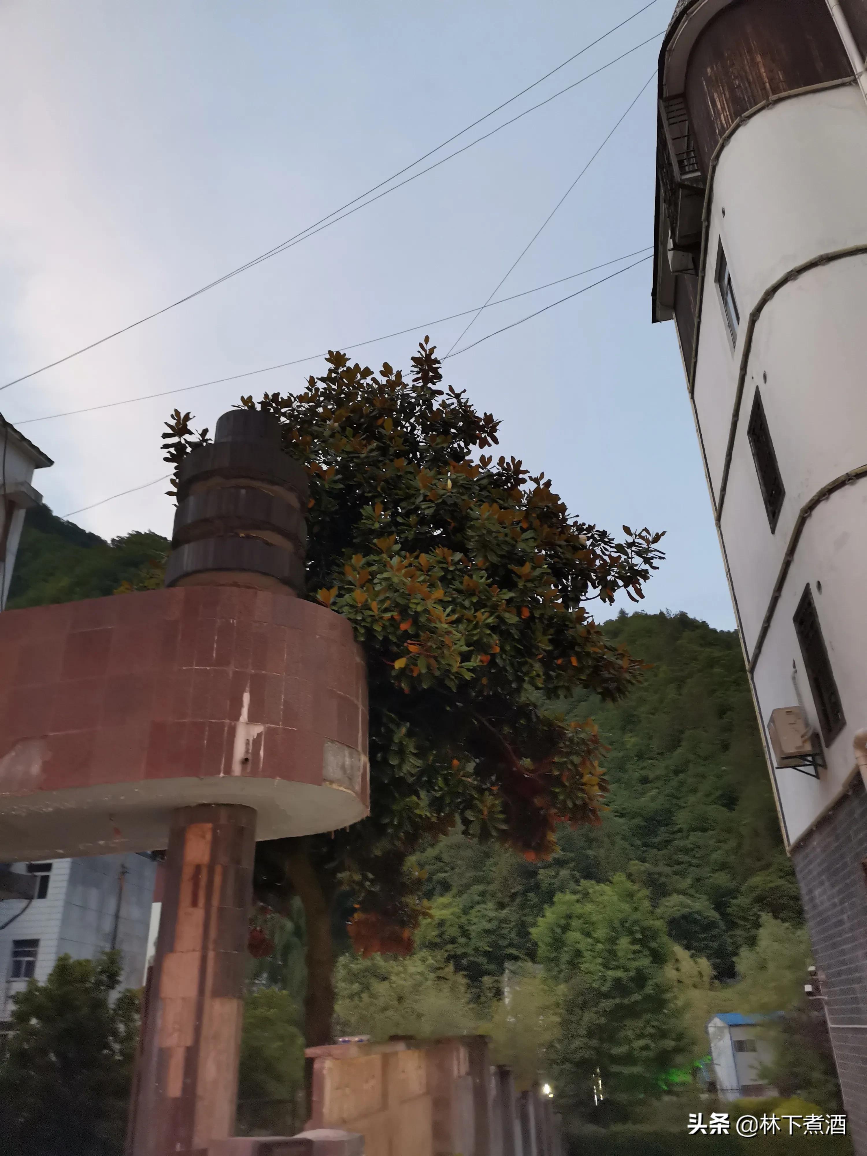 做一个木鱼的步骤,神农架木鱼镇跟木鱼小镇