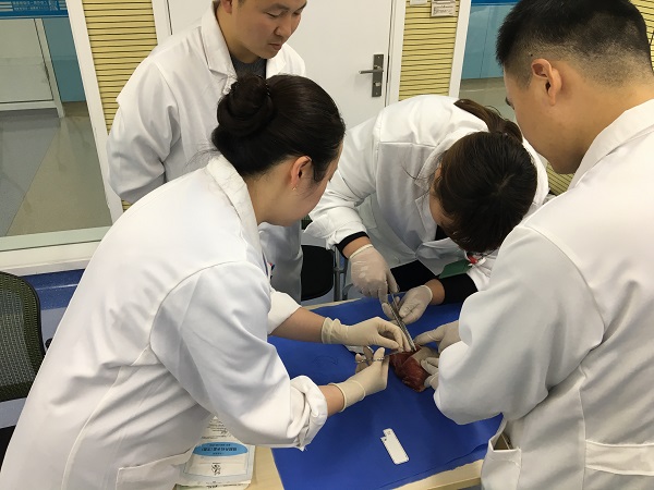 连续十多年保持世界发达国家和地区领先水平上海妇幼健康如何“领跑”全球？