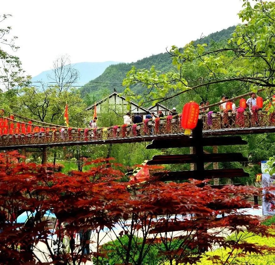 大美中国甘肃康县,央视大美中国甘肃康县