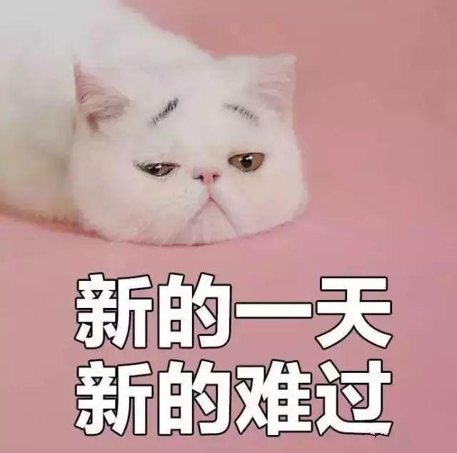 没有*生活性**和妇科病的女生，有必要进行妇科检查吗？