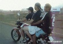 这只鹦鹉一直以为他是一只猴,所以每天都在重复做这个动作