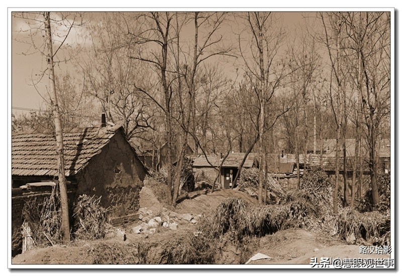 故事片透明的红萝卜完整版,透明的红萝卜有声小说免费