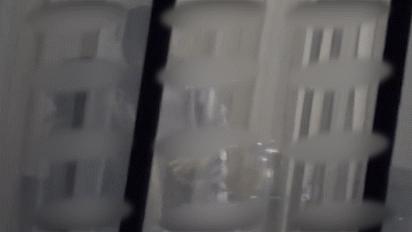 张杰谢娜二胎男孩女孩,张杰谢娜二胎是自然受孕吗