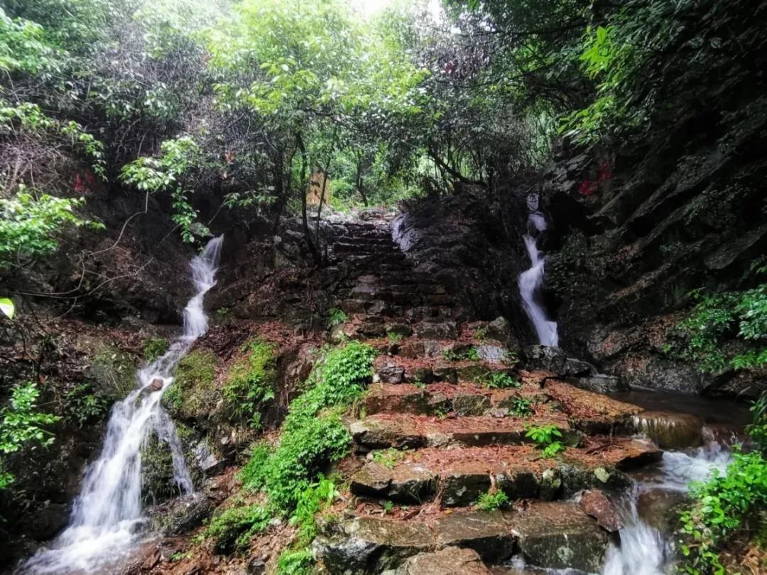 欢呼！余杭9条精品旅游线出炉！瓶窑、塘栖、中泰...太惊艳了！