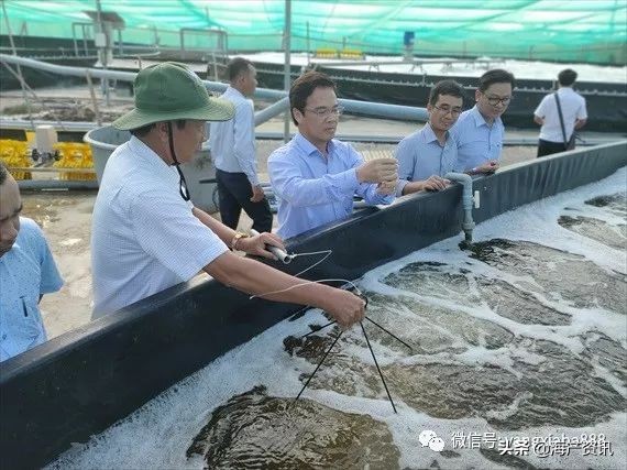 2019年虾类行业分析报告,中国虾市场现状