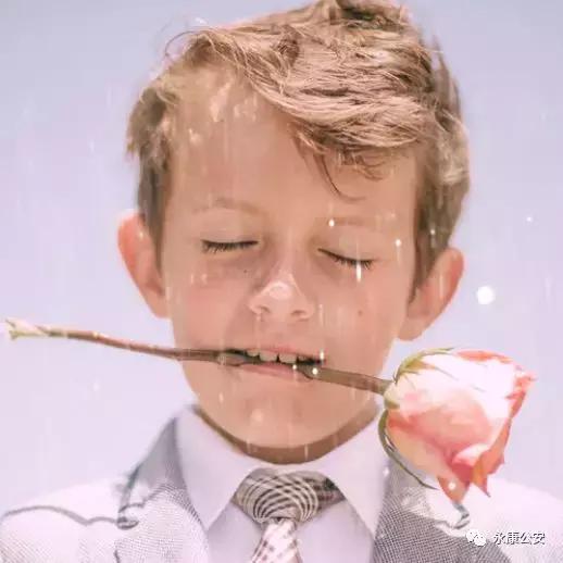 “永康市旅游局”网站服务器在香港？永康公安破获假冒政府部门网站案件