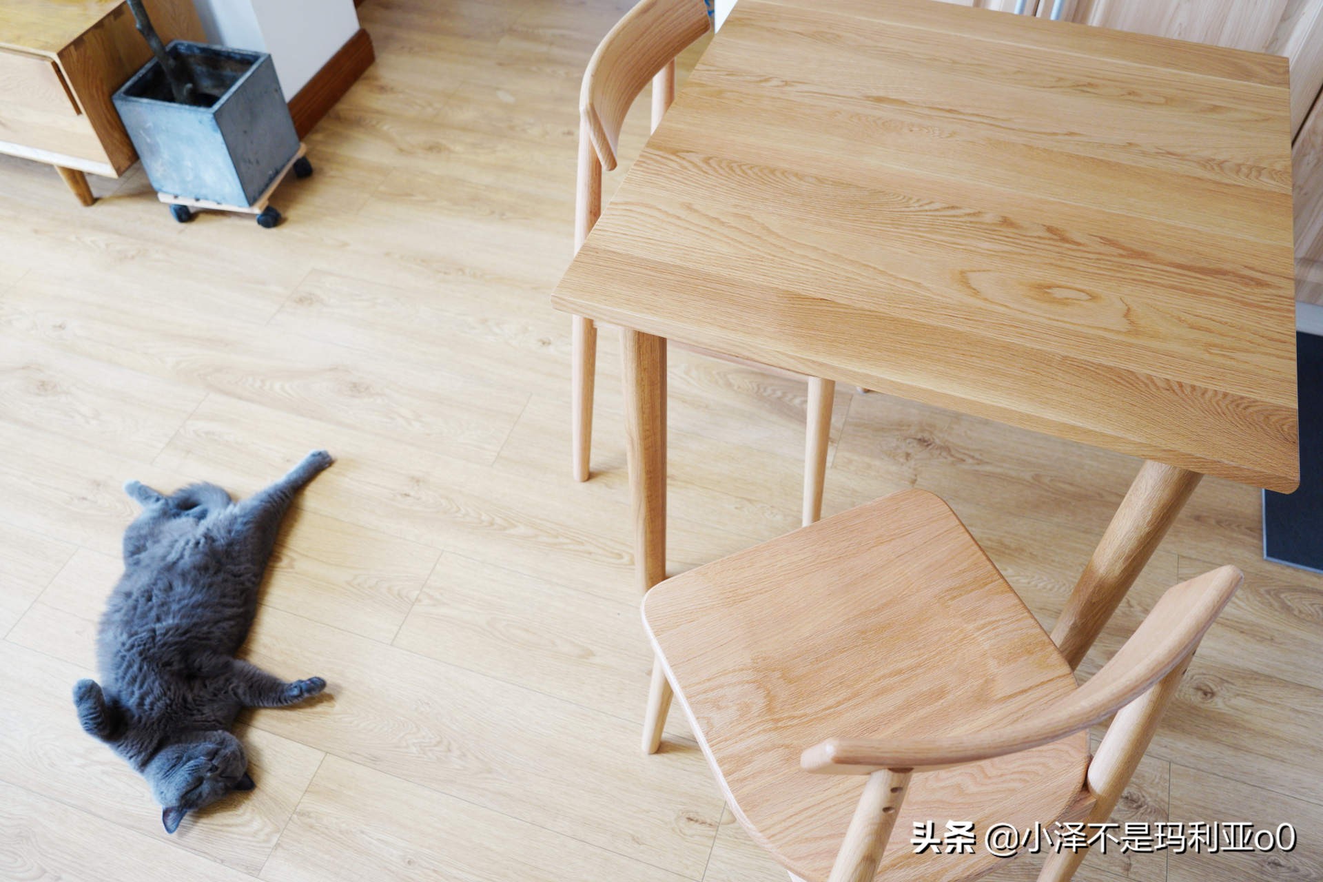 实木家具保养小知识,实木家具保养与修复