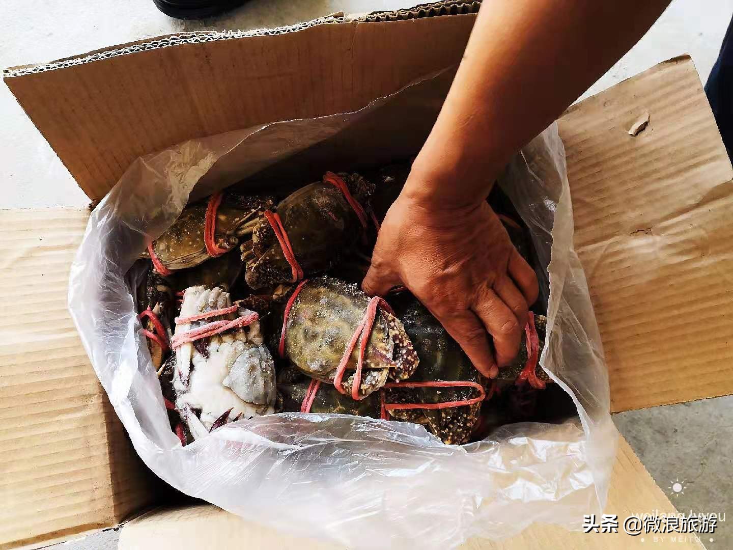 “死螃蟹”上餐桌,被一抢而光,渔家乐老板道出了一个秘诀