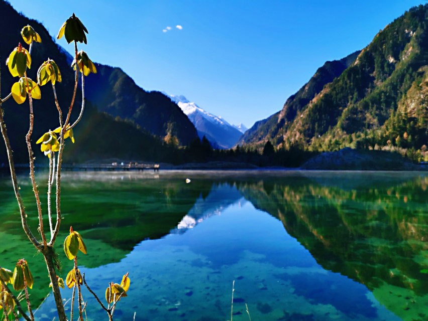 你会逗号句号吗,你会停止内卷吗