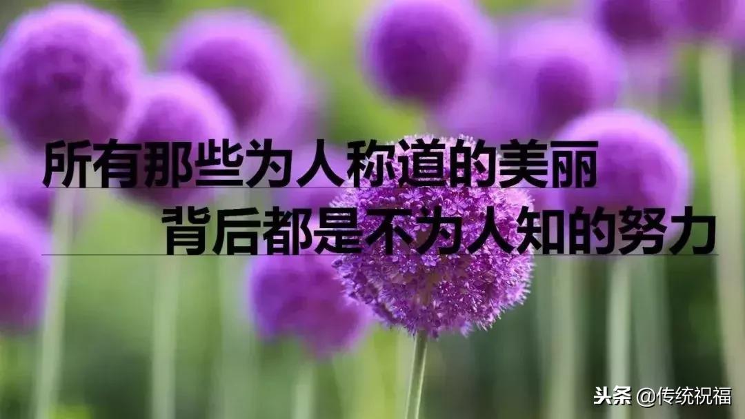 早安光棍节快乐,早安光棍节