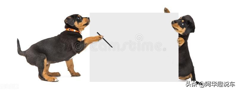 本田汽车和一汽大众哪个好,本田车与大众车哪个耐用