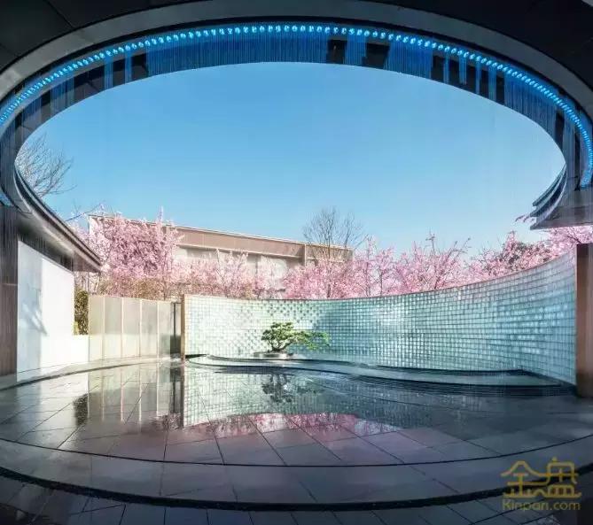 当景观遇上设计,当景观植物遇见灯光