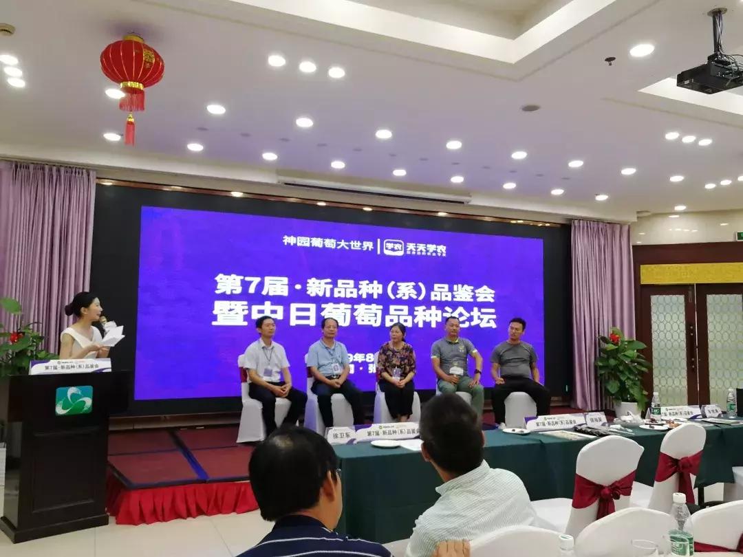 葡萄新品种发展潜力,未来5年最具潜力的葡萄品种