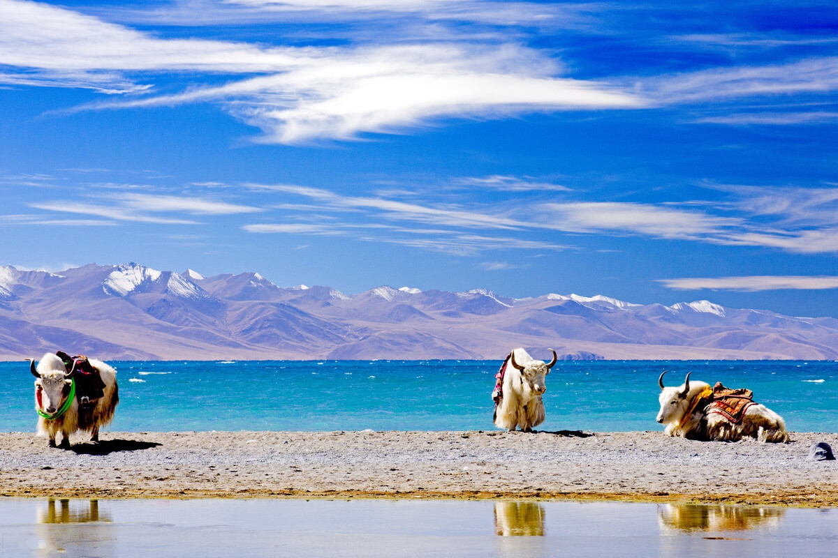 国家地理评选一生必去的50个城市,国家地理评选中国必去的50个地方