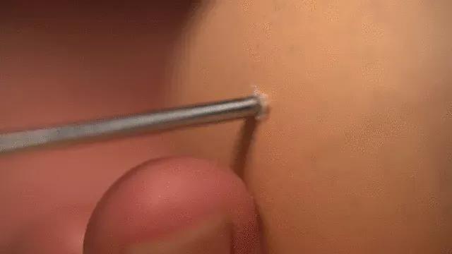 你学会了吗谐音,烧烤鸡蛋串