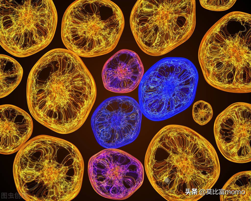 细胞免疫疗法有没有成功的案例,T细胞免疫调控疗法