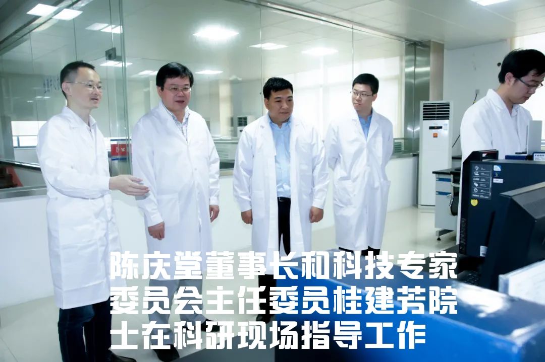 天马科技业务,天马科技领军者