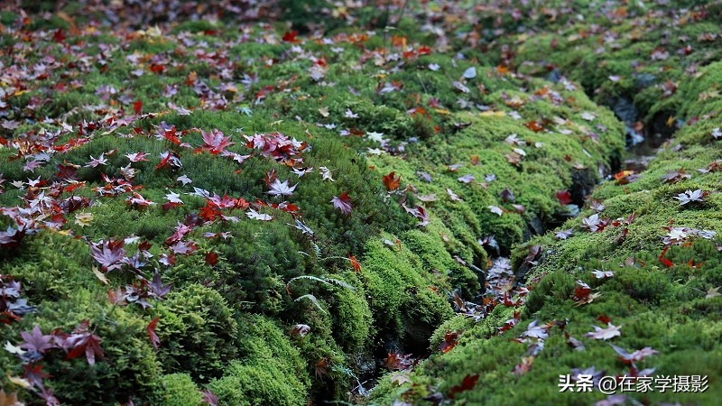 卡色uv镜和偏振镜哪个好,uv镜cpl偏光镜