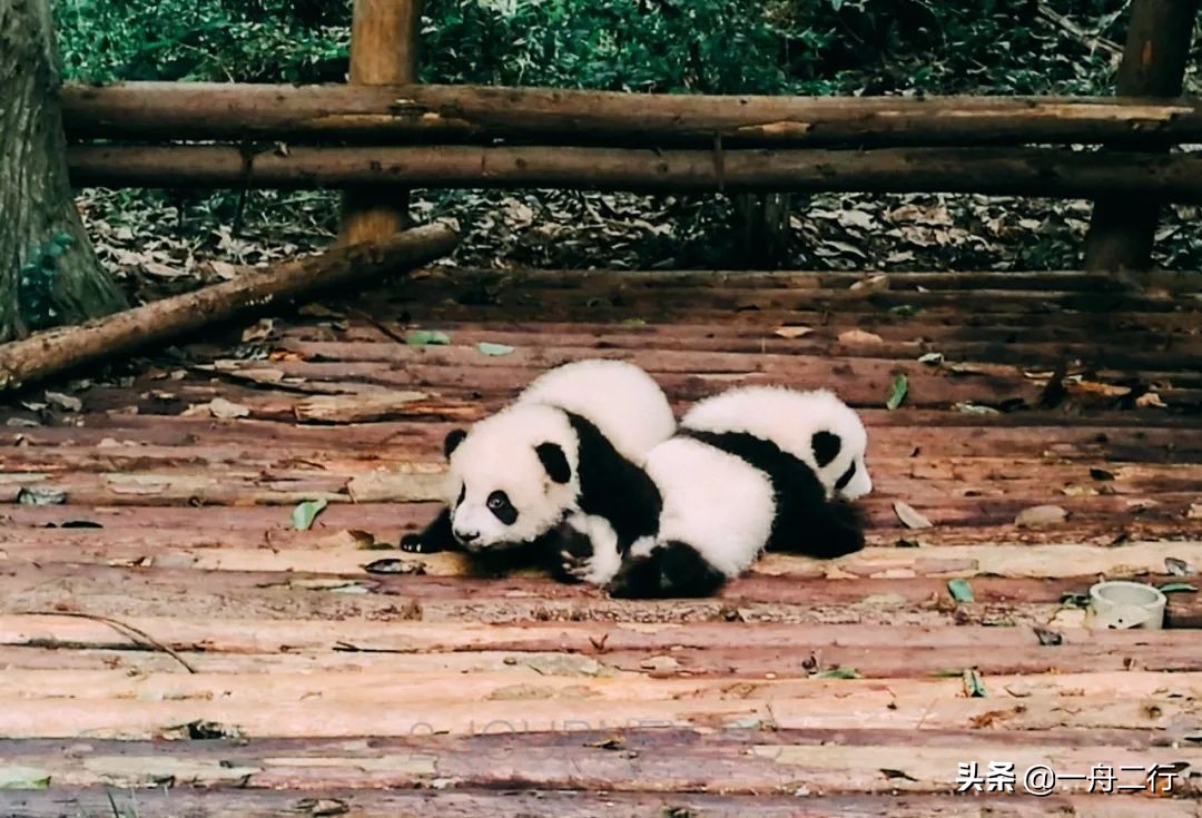 成都二三五科技有限公司,成都二三里