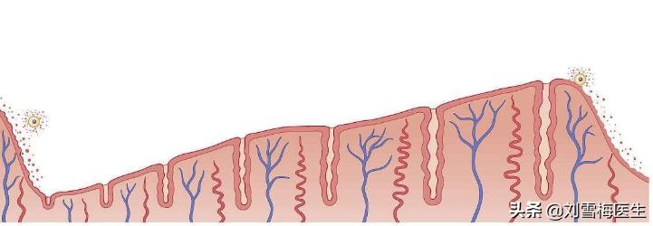 怀孕初期能种地吗,怀孕后土壤不肥沃怎么办