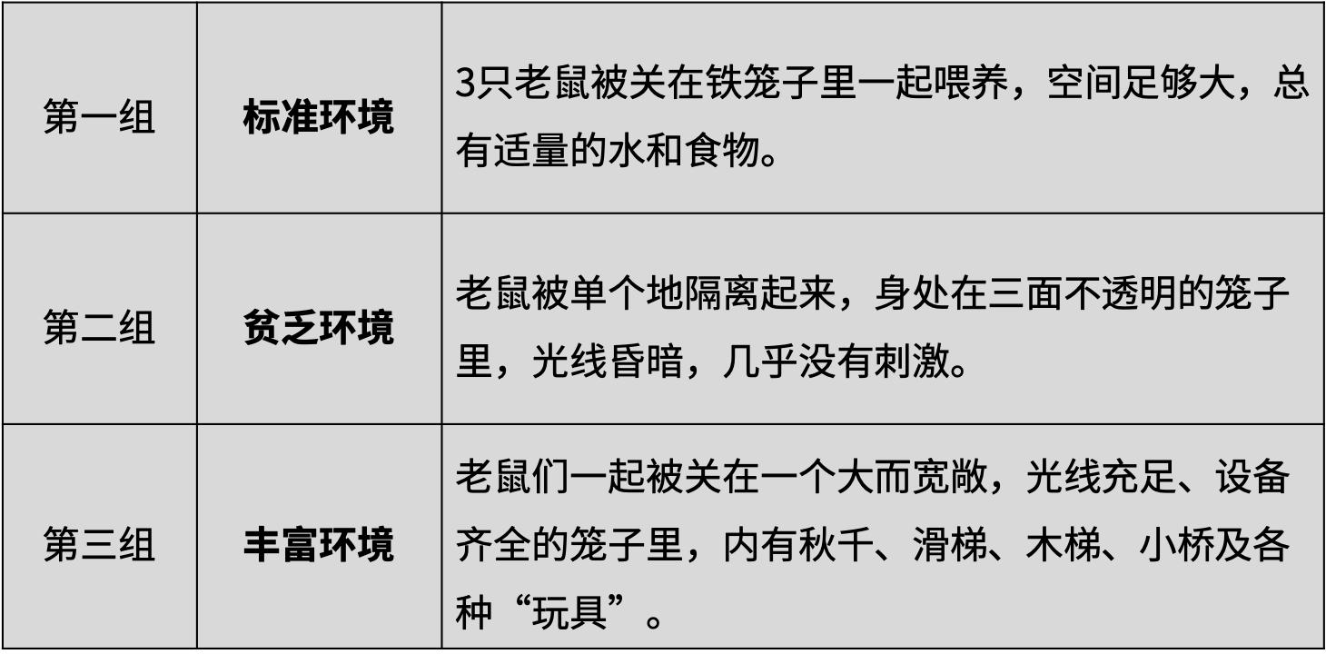 科学家用三组老鼠做实验,发现了让大脑变聪明的秘密……父母必读