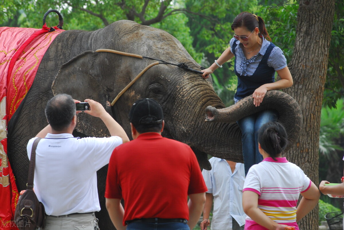 上海春节亲子游好地方推荐,上海自然博物馆亲子游攻略