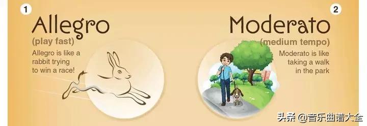 钢琴表情图解大全,钢琴演奏表情术语