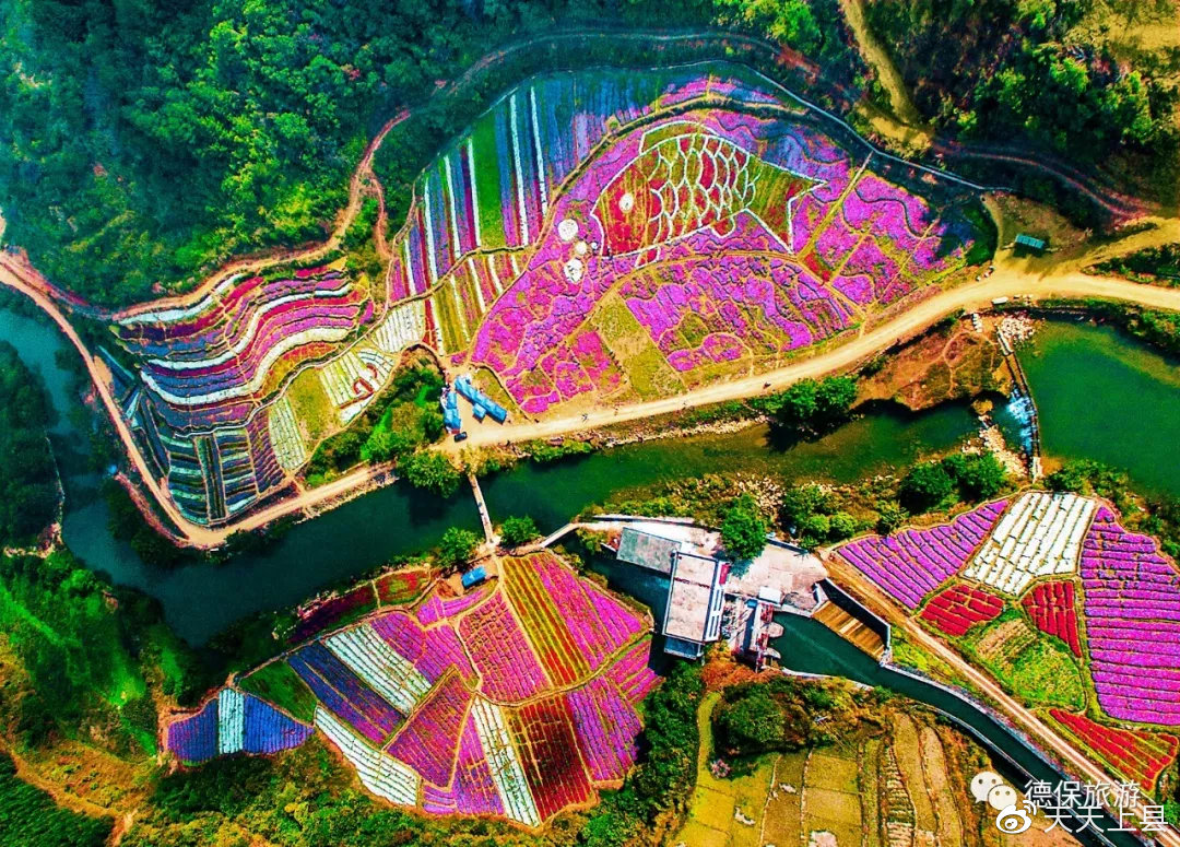 广西枫叶林观赏季节,广西赏枫叶的地方