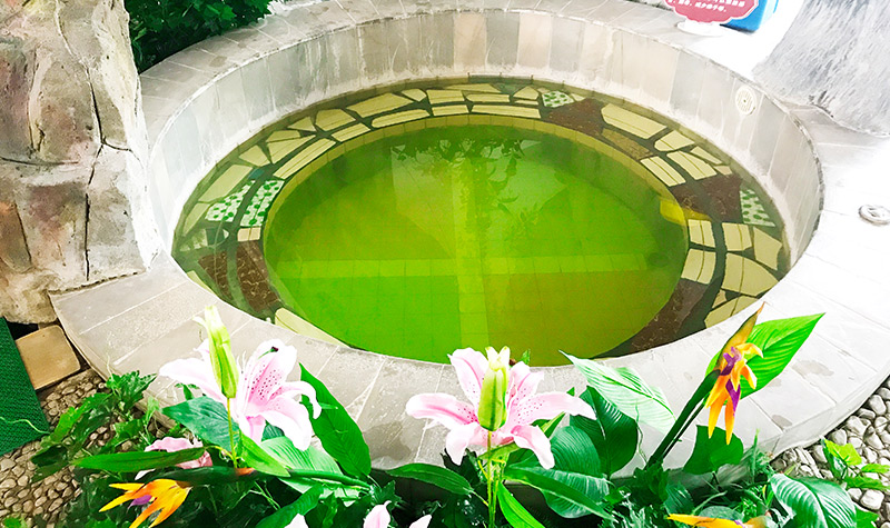 唐山周边一日游最值得推荐玩水,唐山世德花园酒店汤之泉温泉