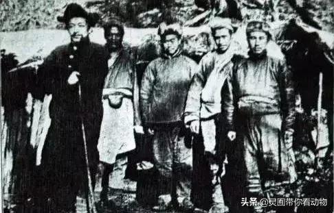 金日成爱吃的它,居然已经在国内绝迹?