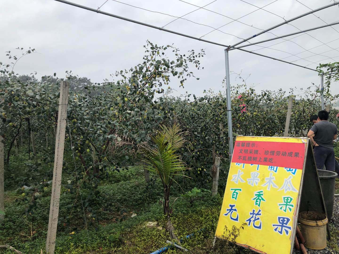 隐藏在英德一座微派风格的酒店—一幅灵动与纸上的古邑国画