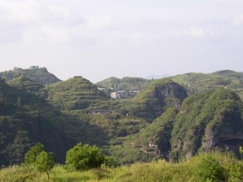 农业农村部最新农情调查显示,农情快报最新视频