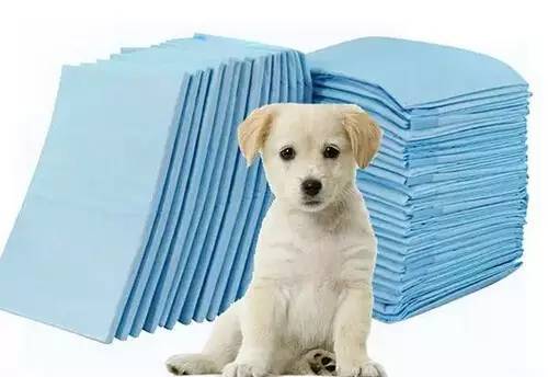 狗狗突然在房间乱拉乱尿怎么回事,怎样训练狗狗不在家乱拉乱尿