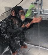 洗脸洗多了毛孔变大怎么办,洗脸洗成痘痘肌