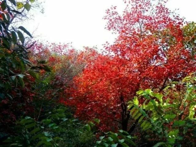 济南旅游景点推荐带孩子玩,济南旅游景点推荐适合带孩子