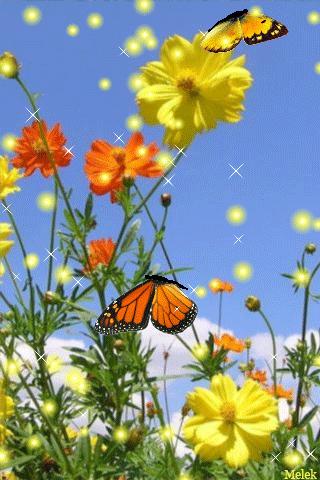 50张极致水中花美照!绝世千年!一次一张!(速看)