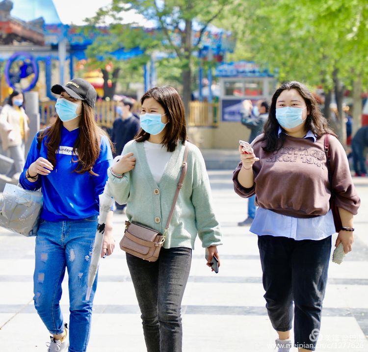 看洛阳牡丹花卉节,洛阳古都牡丹花展