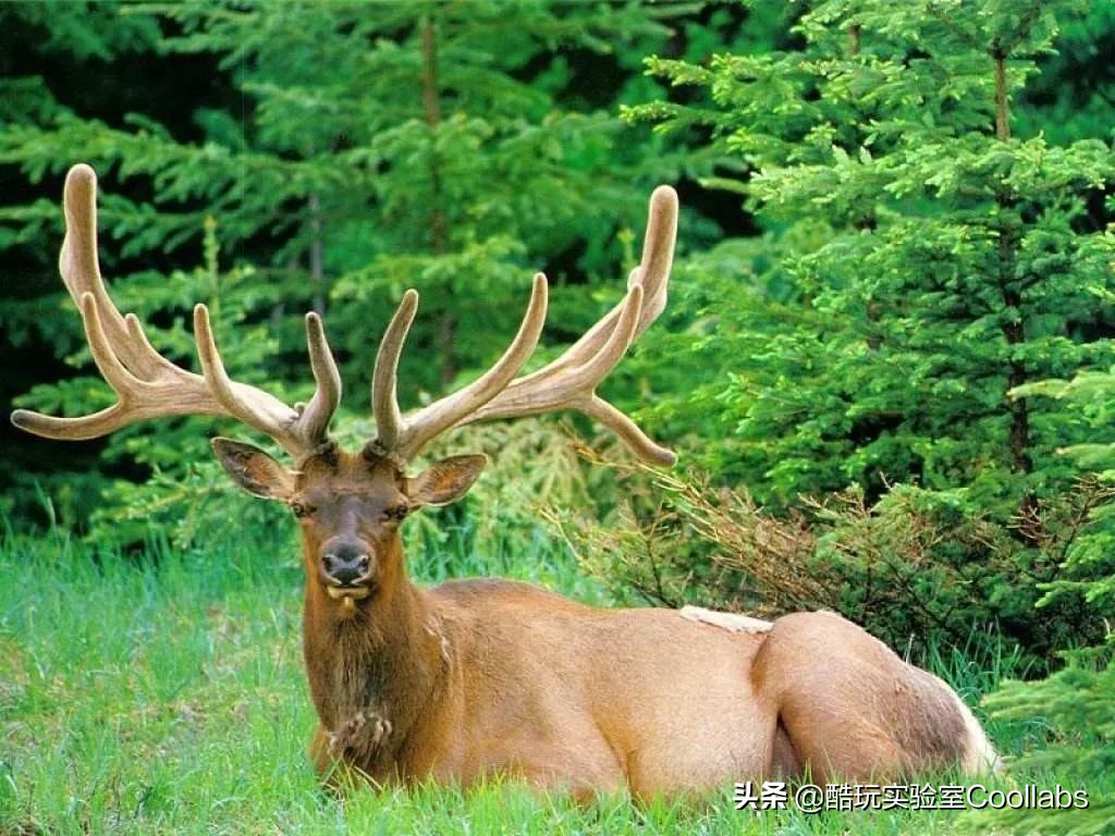 16800元一盒神药,1600块钱一粒的神药新闻