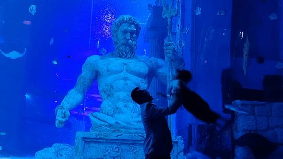 开启非凡住宿万豪旅享家,万豪旅享家万物皆可串