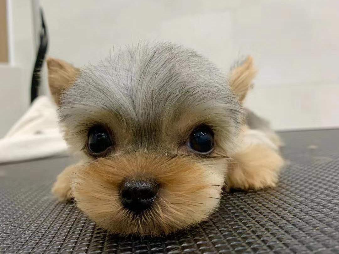 有苦难言的肛门问题，作为家长你了解吗