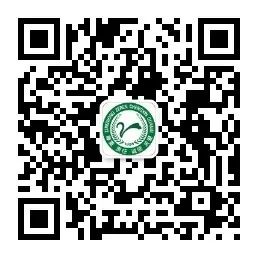 另辟“脐”径让伤痕隐形----我院妇产诊疗中心成功开展第一例单孔腹腔镜手术