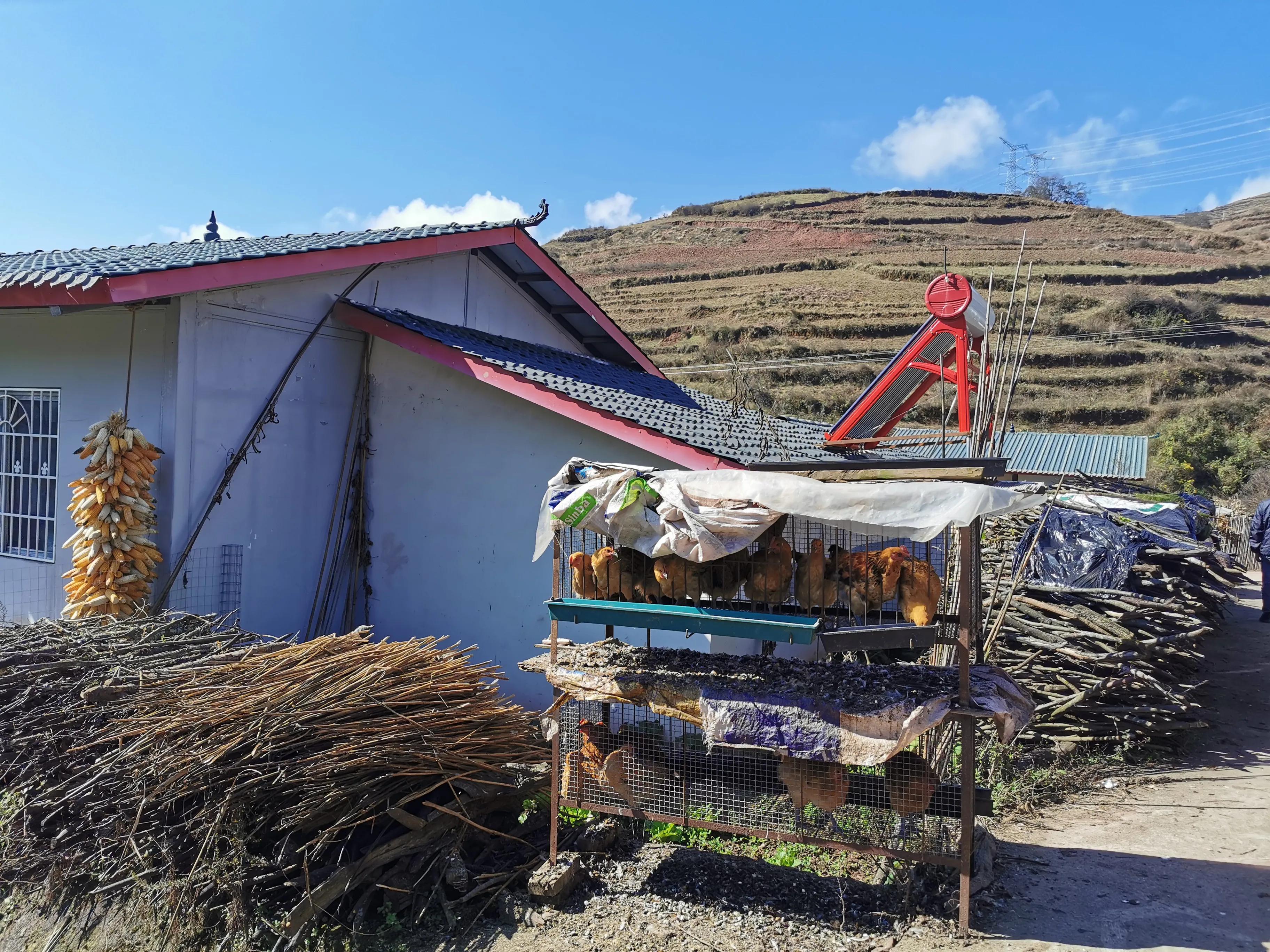 佛山市帮扶凉山州,佛山帮扶天柱县