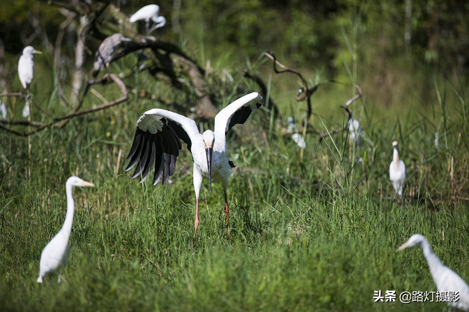 中国南方最适合避暑的城市,气候湿润四季如春的宜居城市
