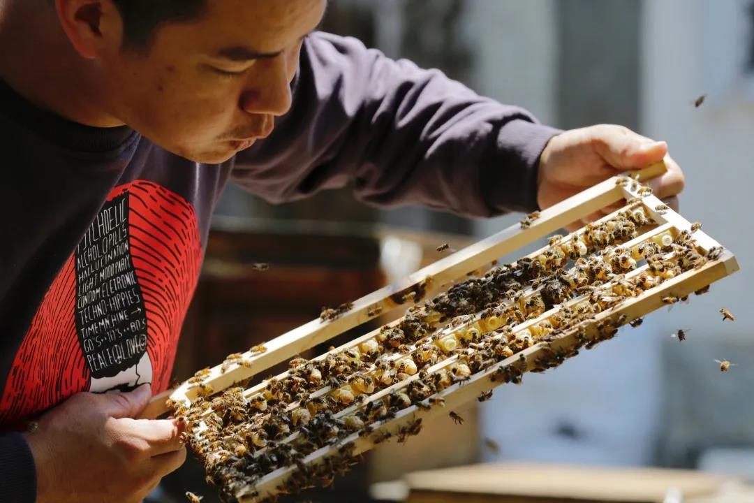 汕尾是一个怎么样的地方呢,汕尾究竟在哪里