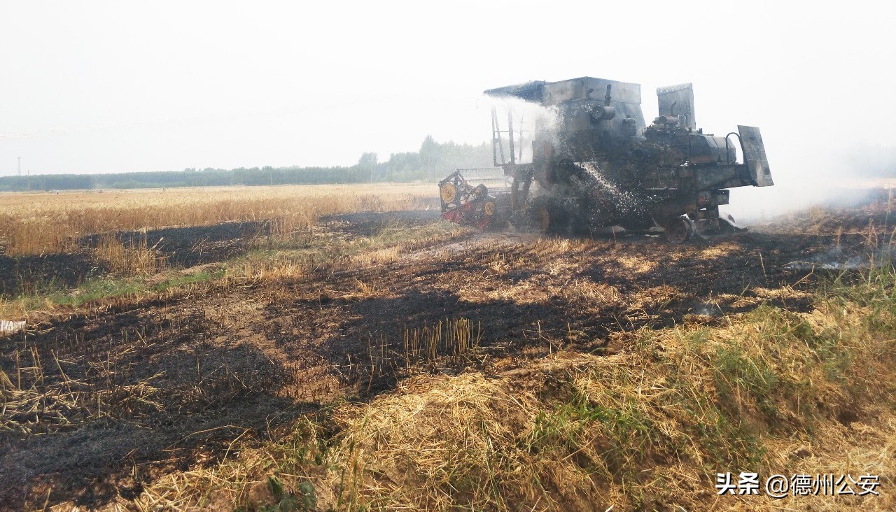 触目惊心！德州多地麦田发生火灾，收割机被烧成黑炭......
